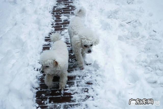 全国冻哭预警,你在哪,有多冷?