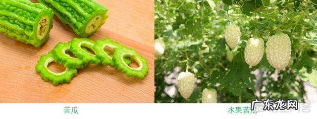 肝火旺可以吃些什么食物呢?