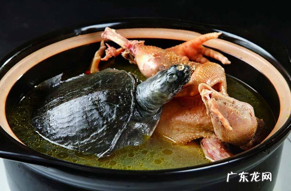 霸王别姬是什么地方的菜系?还有哪些以地区命名的菜系 霸王别姬是哪里的菜系