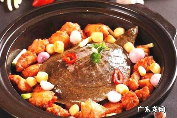 霸王别姬是什么地方的菜系?还有哪些以地区命名的菜系 霸王别姬是哪里的菜系