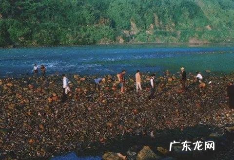 浑水摸鱼的故事 浑水摸鱼造句子