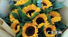 第一次送花给女朋友送什么花 第一次送花给女朋友送什么花好