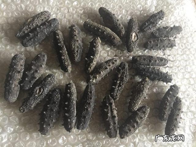 孕妇可以吃海参吗怀孕吃海参要注意什么？