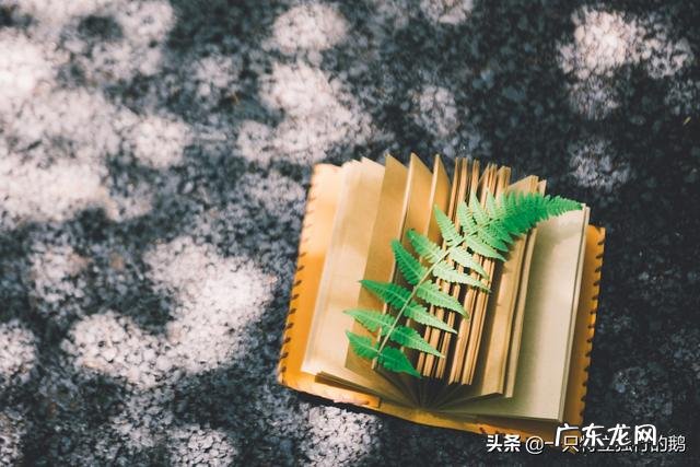 情感类的文章怎么写？