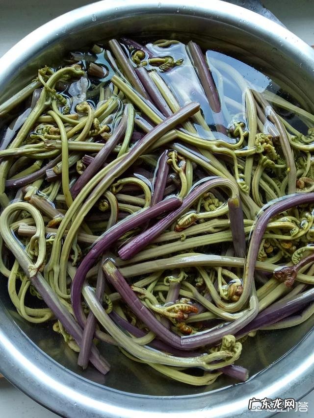 每年农村的三月份都有哪些野菜可以食用?为什么近些年农村野菜市场是如此的受欢迎呢?