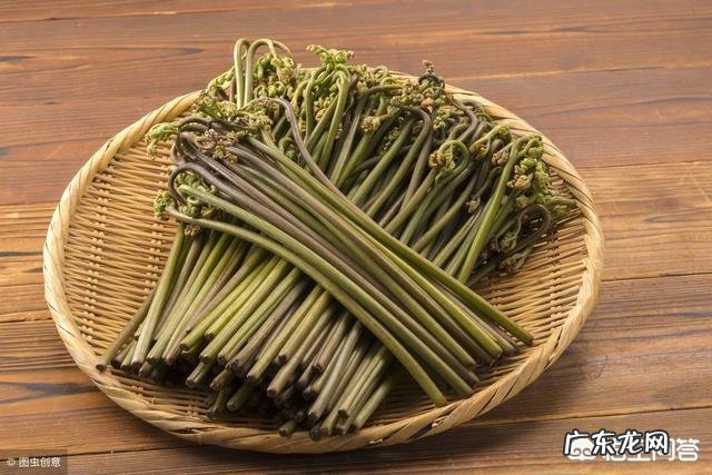 每年农村的三月份都有哪些野菜可以食用?为什么近些年农村野菜市场是如此的受欢迎呢?