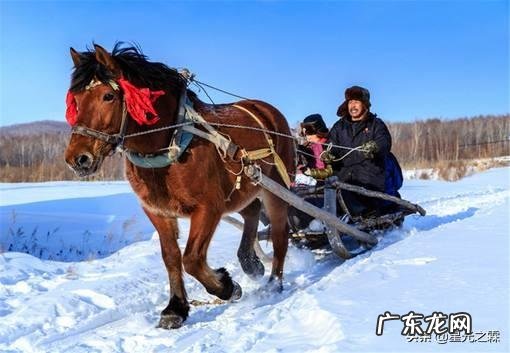 东北的冬天到底有多冷？