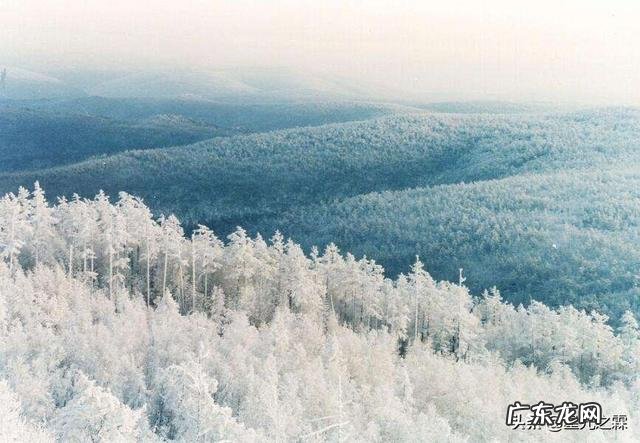 东北的冬天到底有多冷?