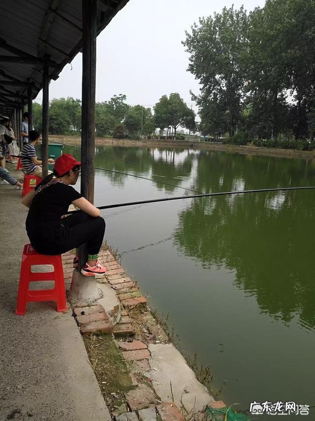 高考作文一般写什么文章?