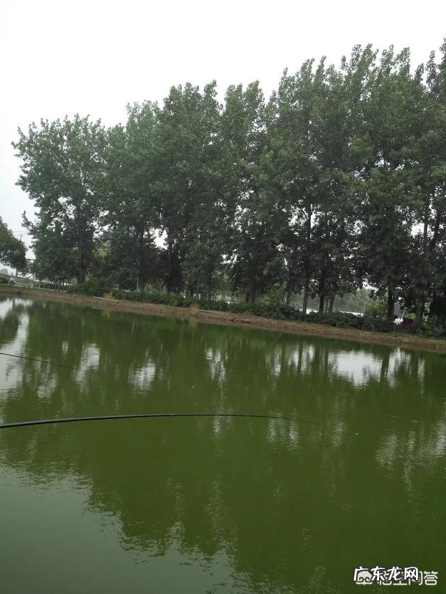 高考作文一般写什么文章?