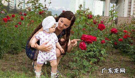 宝宝从床上摔下来?