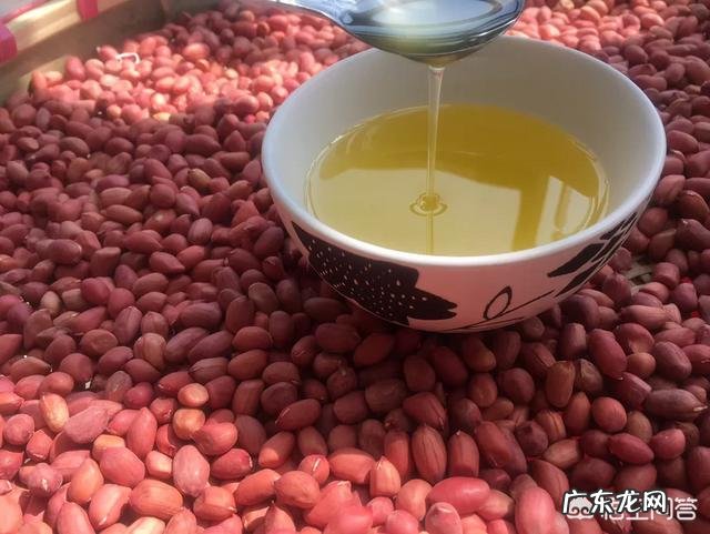 吃什么油比较健康?