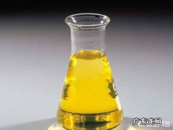 吃什么油比较健康?