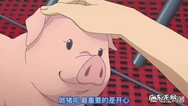 孕期脾气暴躁的原因有哪些?