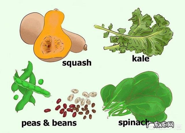 想生个健康活力宝宝，备孕吃什么好呢？