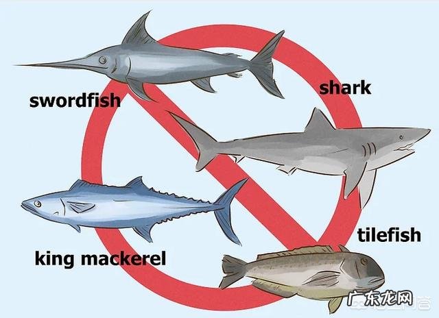 想生个健康活力宝宝，备孕吃什么好呢？