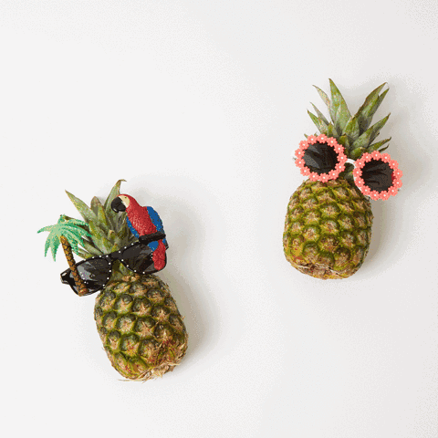 菠萝和苹果最大的区别 苹果和菠萝有啥区别