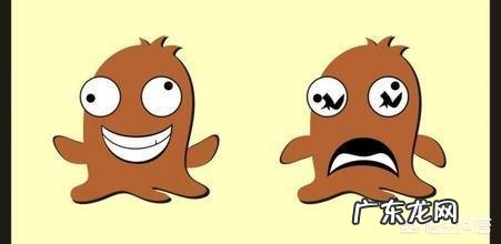 动物搞笑视频属于搞笑领域吗?