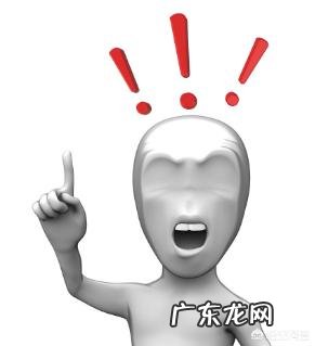 动物搞笑视频属于搞笑领域吗?