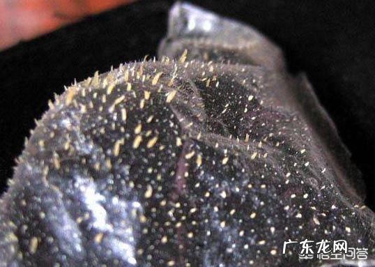 鼻子上黑头超级多该怎么办呢?