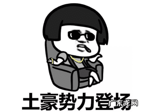 永恒之塔杀星输出最大化 永恒之塔杀星技能大全