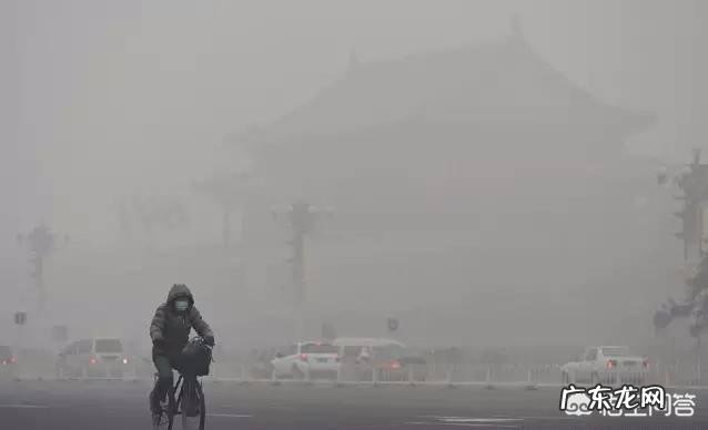 雾霾天气该如何注重养肺护肺?