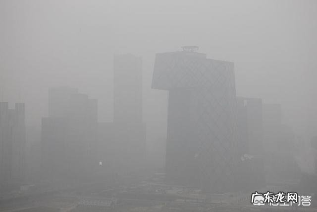 雾霾天气该如何注重养肺护肺?