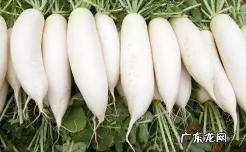 雾霾天气该如何注重养肺护肺？