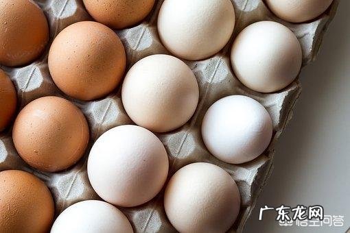 土鸡蛋比普通鸡蛋更有营养吗?蛋黄颜色深的营养价值更高吗?