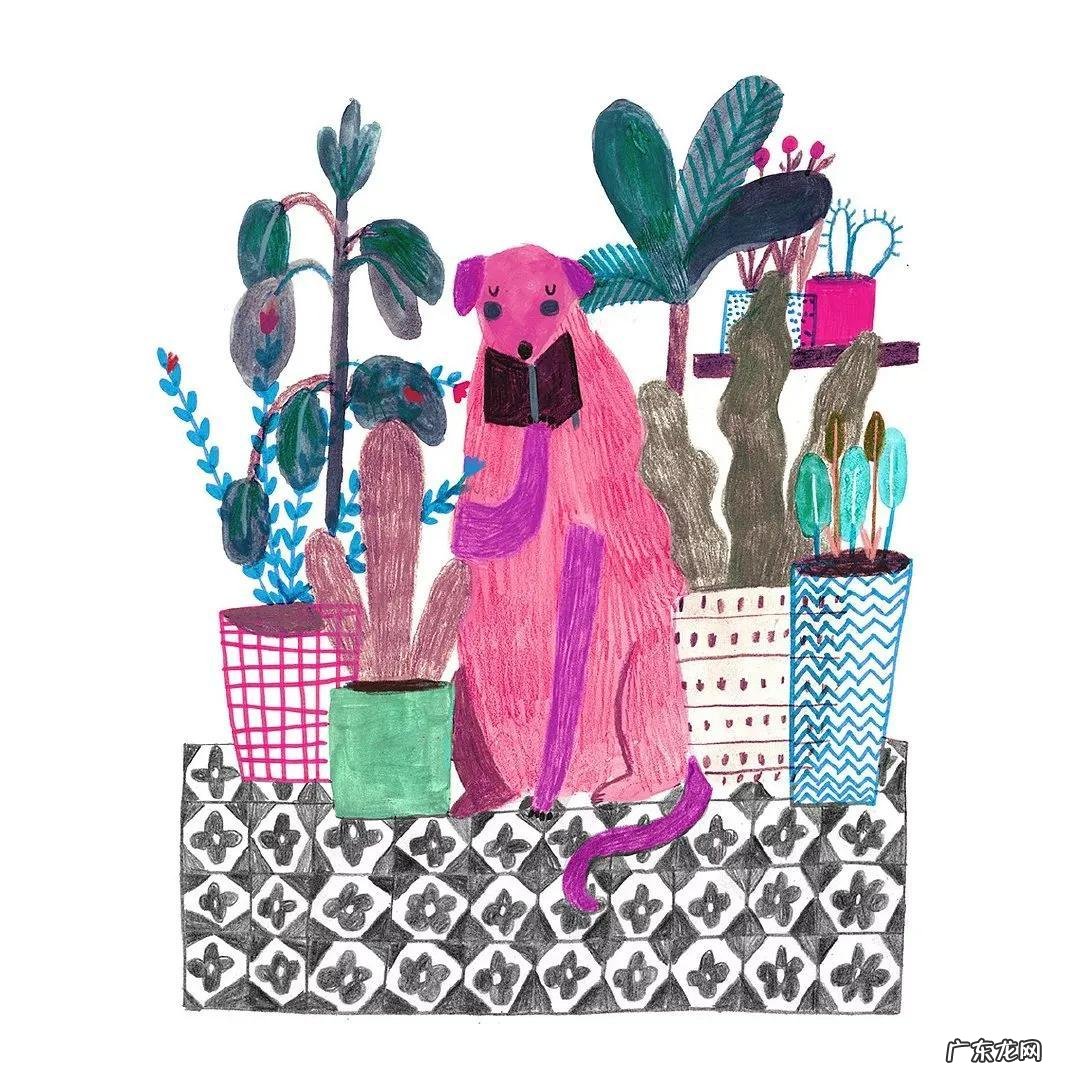 mighty daruma darumaka