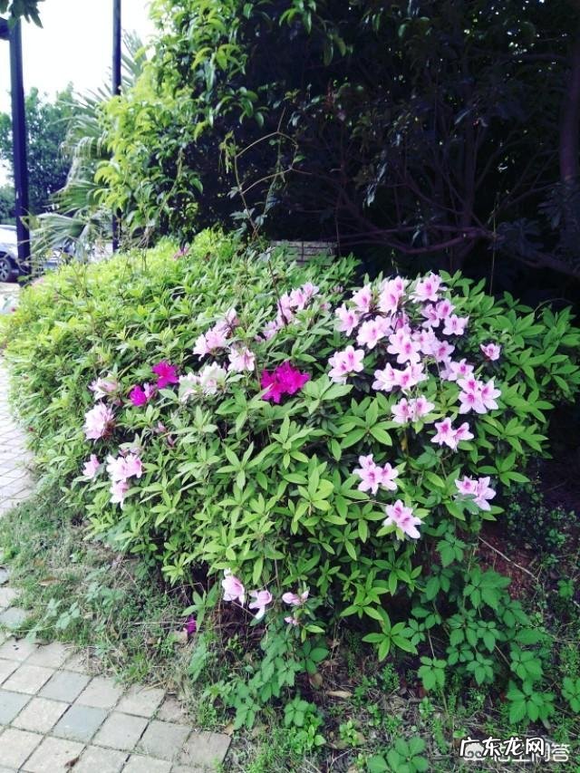 哪几种大型户外玩具比较受小朋友们的喜欢？