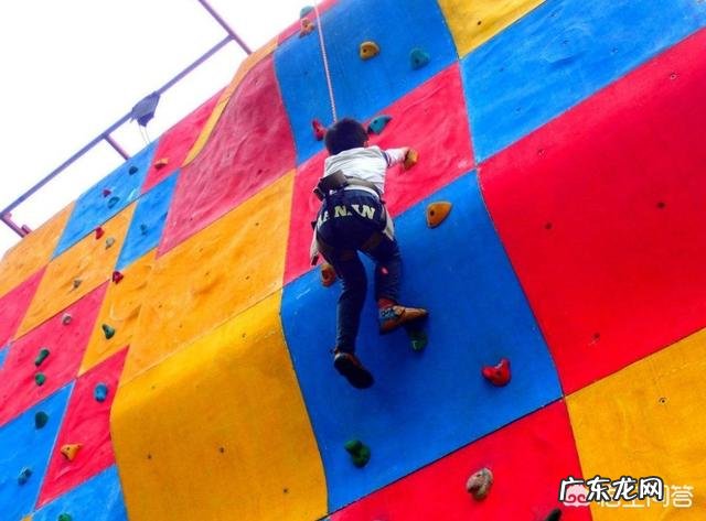 哪几种大型户外玩具比较受小朋友们的喜欢？