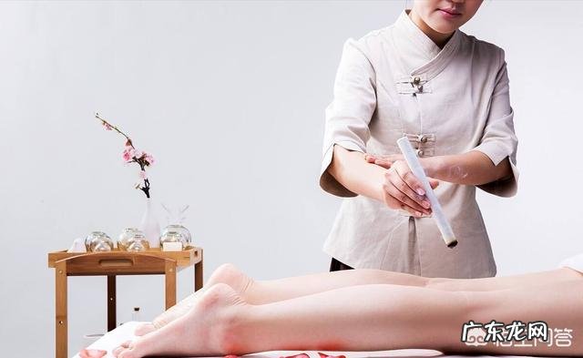 艾蒿有什么作用?