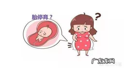 怀孕十三周发生胎停育的原因是什么?应该怎么办?