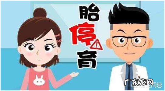 怀孕十三周发生胎停育的原因是什么?应该怎么办?