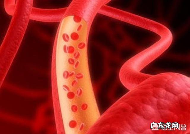 吃什么东西容易解酒？