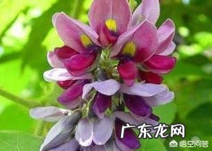 吃什么东西容易解酒？