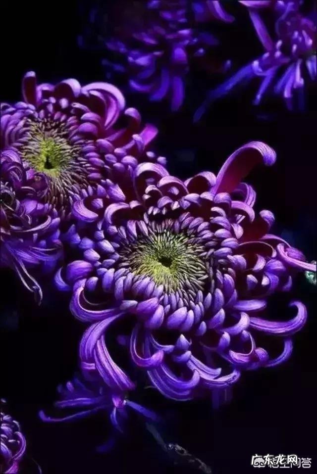 如何正确地看待和对待错误?