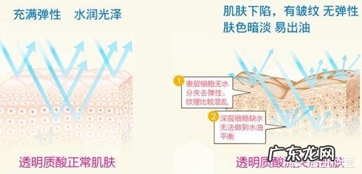连明星都喜爱的玻尿酸,用在护肤品中真的能发挥出神奇的效果吗?