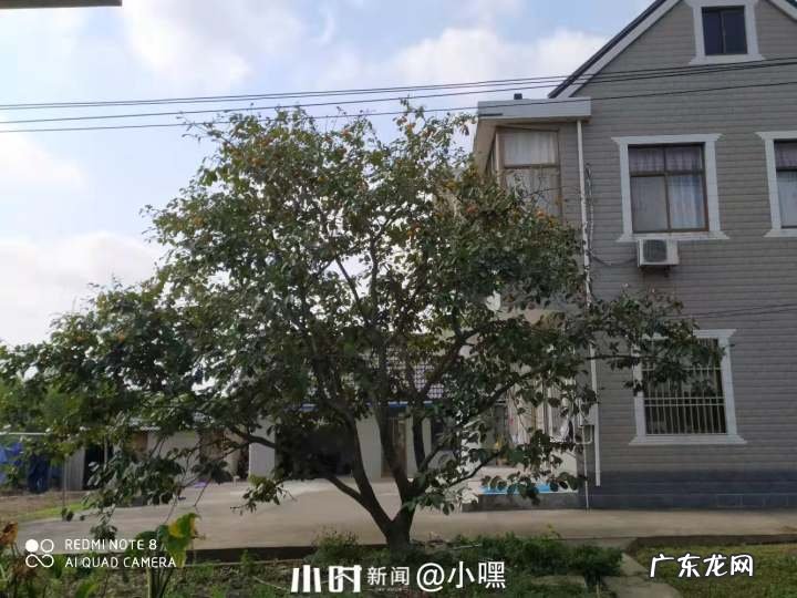 吃货圈?分享 | 硕果累累满秋天，看吃货们晒出了哪些秋日果实 用硕果累累造句子