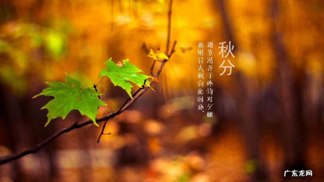 描写秋分的句子
