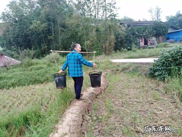 蔬菜上的农药残留和用人尿粪水浇地,哪个对人体的危害要大一些?为什么?
