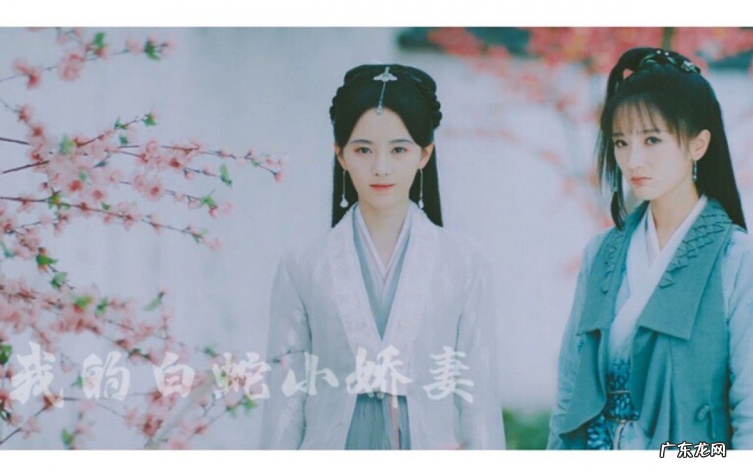 肖燕个人资料简介