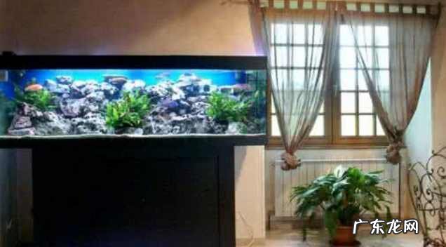 家里摆鱼缸的风水讲究 家居鱼缸摆放风水学