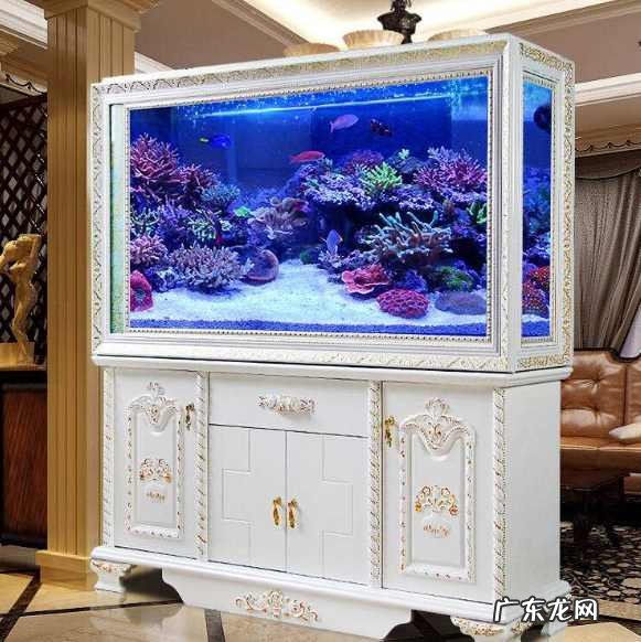 家里摆鱼缸的风水讲究 家居鱼缸摆放风水学