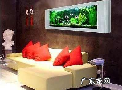 家里摆鱼缸的风水讲究 家居鱼缸摆放风水学