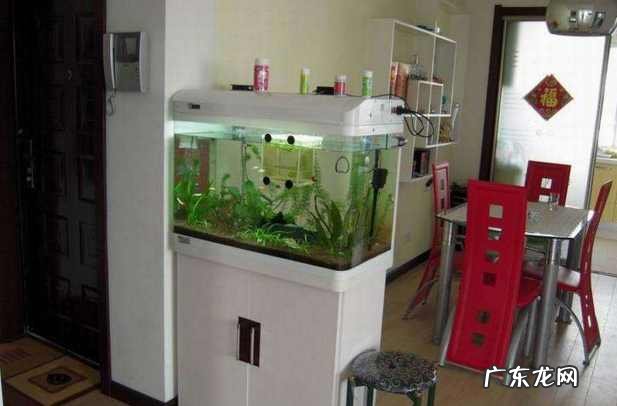 家里摆鱼缸的风水讲究 家居鱼缸摆放风水学