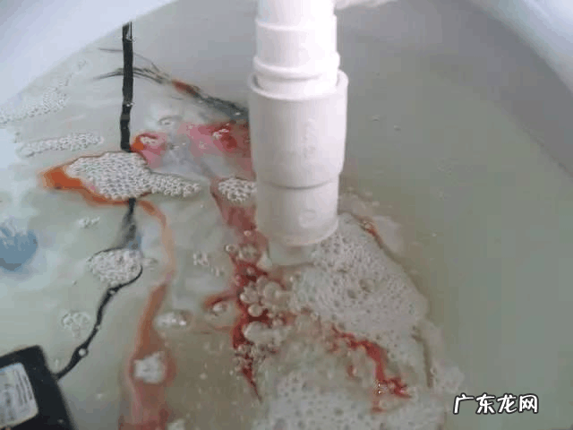 家里阳台养鱼好不好 阳台放鱼缸养鱼的风水说