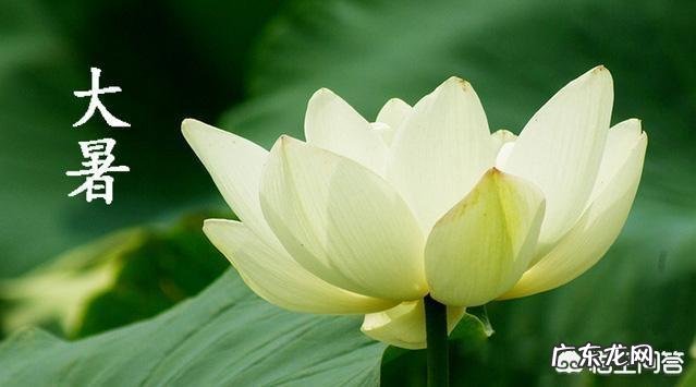 19年立秋几时几分?立秋农村有何习俗?立秋后,天气还会炎热吗?