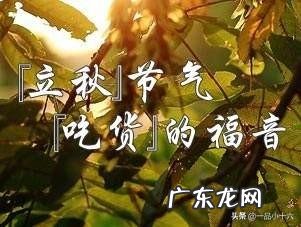 19年立秋几时几分?立秋农村有何习俗?立秋后,天气还会炎热吗?